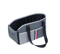 Siège auto d'hiver et toutes saisons pour petit chien et chat, sac à main portable avec coussinet amovible et lavable, large vision pour soulager le mal des transports, lit de voyage (gris, 25 x 46 cm