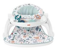 Siège d'activités Delux - Fisher-Price NA G