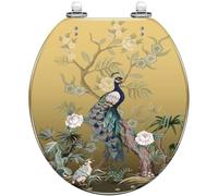 Siège de Toilette Rond en résine avec scène sous-Marine, récif de Corail, Poissons tropicaux, Couvercle de Toilette à Fermeture silencieuse, charnières à dégagement Rapide, siège décoratif avec couve