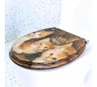 Siège de toilettes à fermeture douce, Abattant WC en résine transparente à fermeture lente et dégagement rapide for toilettes U/V/O, distance entre les trous de 10 20 cm, 33 40 x 48(P Style)