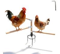 Siège en bois pour poules, perchoir pour poules, aire de jeu pour poules, échelle d’escalade pour 6 à 10 poules, 130 x 100 x 2,5 cm, bois naturel (hauteur de 22")