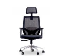 Urban Factory Chaise de travail ergonomique - ERGO ESC01UF