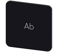 Siemens 3SU1900-0AF16-0AE0 3SU19000AF160AE0 Plaquette de repérage carré (l x H) 22 mm x 22 mm Ab noir, blanc 10 pc(s)