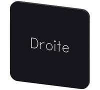 Siemens 3SU1900-0AF16-0GG0 3SU19000AF160GG0 Plaquette de repérage carré (l x H) 22 mm x 22 mm Droite noir, blanc 10 pc(s)