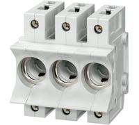 Siemens 5SG5301 Culot de fusible Neozed Taille du fusible = D01 3 pôles 16 A 400 V