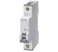 Siemens 5SY61027 5SY6102-7 Disjoncteur 2 A 230 V, 400 V