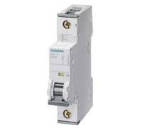 Siemens 5SY61027 5SY6102-7 Disjoncteur 2 A 230 V, 400 V