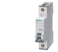 Siemens 5SY81107 5SY8110-7 Disjoncteur 10 A 230 V, 400 V