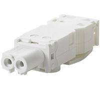 Siemens 8MR22101A Connecteur d'alimentation Femelle blanc 5 pc(s)