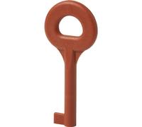 Siemens Clé de rechange BPZ:4851910001 DMZ1195 1 pièce Multicolore