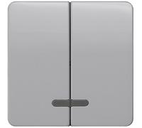 Siemens Gamme d'interrupteurs Bouton à bascule Delta argent 5TG7938 1 pc(s)