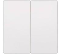 Cache Siemens 5TG6205 Delta blanc