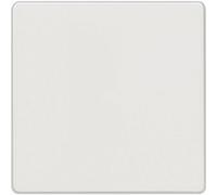 Siemens Gamme d'interrupteurs Cache Interrupteur va-et-vient, Interrupteur,