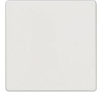 Siemens Gamme dinterrupteurs Cache Interrupteur va-et-vient, Interrupteur, Interrupteur/inverseur blanc 5TG6201 1 pc(s)