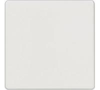 Siemens Gamme d'interrupteurs Cache Interrupteur va-et-vient, Interrupteur, Interrupteur/inverseur blanc 5TG6201 1 pc(s)