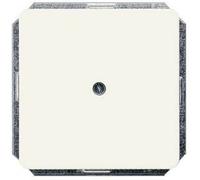 Siemens Gamme dinterrupteurs Delta blanc 5TG1810 1 pc(s)