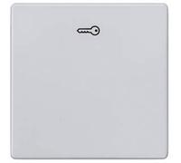 Siemens Gamme d'interrupteurs simple aluminium 5TG6248 1 pc(s)