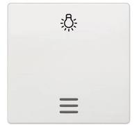 Siemens Gamme dinterrupteurs simple Bascule symbole éclairage blanc 5TG6206 1 pc(s)