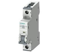 Siemens 5SY41106 5SY4110-6 Disjoncteur 10 A