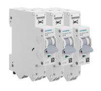 Lot de 3 disjoncteurs Auto P+N 10A