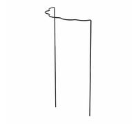 Siena Garden 130-8142 T&T tuteur d'arbuste, acier galvanisé, époxy, 100 cm, vert