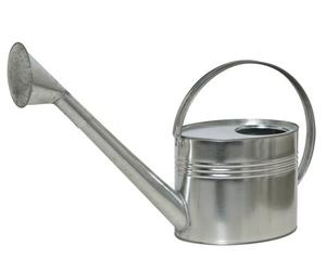 Siena Garden 395238 galvanisé 7 l Arrosoir avec douchette