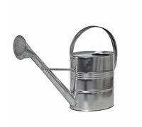 Arrosoir 10l Argent Pot Arrosoir pour Fleurs Plantes Irriguer Jardin Neuf