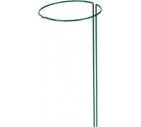 Siena Garden 609-508 Support d'arbuste55cm/6mm réglable,vert laqué, vert