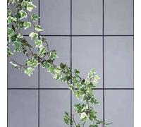 Siena Garden 763754 Espalier pour Plantes avec 4 entretoises 150 x 60 cm