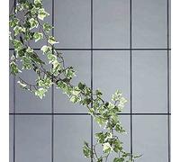 Siena Garden 763758 Treillis à 5 Barres 150 x 75 cm