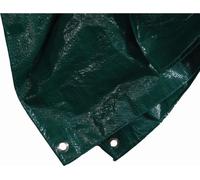 Siena Garden bâche de protection PE, 6 x 8 m, vert (1 pièce)