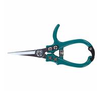 Siena Garden D46448 Ciseaux à Fleurs Turquoise 16,9 x 8,3 x 1,8 cm