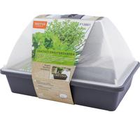 SIENA GARDEN Kit de serre d'intérieur "Jardin d'herbes aromatiques", anthracite, 29 x 19 x 19 cm