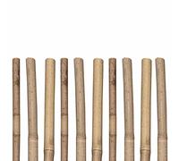 Siena Garden Lot de 10 tiges de Tonkin 12 mm x 14 mm x 1500 mm