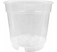SIENA GARDEN Pot pour orchidées 12cm transparent