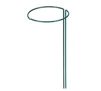 Siena Garden Tige d'arrosage Vert laqué 70 cm/6 mm