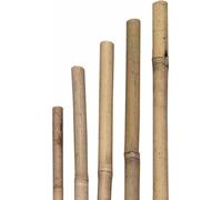 SIENA GARDEN Tonnelle, 6/8mm x 75cm
