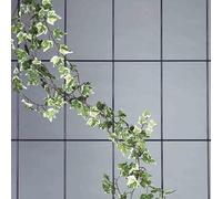 Siena Garden Trellis 3 rangs 150x45cm