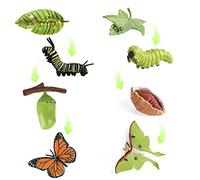 SIENON Lot de 4 figurines de cycle de vie papillon et 4 figurines Actias Ningpoana en plastique chenille au monarque papillon jouet de croissance des insectes outils pédagogiques projet scolaire pour