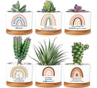 Sieral Lot de 6 Mini Pots de Fleurs en céramique avec Plateau en Bambou pour collègues, employés, Enseignants, Travailleurs Sociaux, Plantes Non incluses (Style bohème)