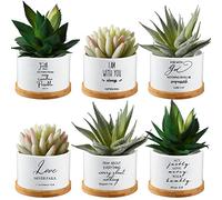 Sieral Lot de 6 Pots de Fleurs en céramique Blanche avec Plateau en Bambou - Cadeau chrétien - pour terrasse, Jardin - 7,6 x 7,6 x 5,1 cm - Plantes Non incluses (Style Bible)