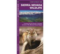 Sierra Nevada Wildlife A Folding Pocket Guide to Familiar Species of the Montane Forest Region by Illustrated by Dr Raymond Leung James Kavanagh Illustrated by Dr Raymond Leung James Kavanagh (Auteur)