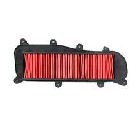 Sifam Filtre à Air Kymco People 300 Gti 10-16 98b168