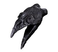 Sifflet aztèque - Sifflet de mort authentique avec design en forme de bouche de corbeau | Sifflet de guerre fort avec son étrange | Parfait pour les collectionneurs | Artefact historique unique à