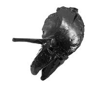 Sifflet d'horreur - Accessoire de survie criant, créateur de son terrifiant, amplificateur de peur effrayant les os, appareil d'alarme compact, outil effrayant de haute performance, équipement