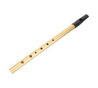 Sifflet irlandais, Penny Whistle, Tin Whistle, Métal, Doré, Sifflet en Aluminium à 6 Trous pour Débutants, Est un Choix Cadeau Parfait
