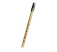 Sifflet traditionnel en D 28,5 cm n D doré) | Réglage numérique des trous, précision du pas, touche C de 32 cm de long, corps en alliage, sac de rangement inclus