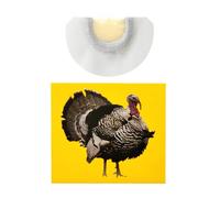 Sifflets extravagants, sons d'animaux, sifflets amusants pour oiseaux, jouets bruyants, nouveaux jouets bruyants aux couleurs vives, sifflets addictifs que bruit joyeux pour amic