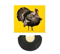 Sifflets farfelus avec sons d'animaux - Sifflet sonore d'oiseau aux couleurs vives | Sifflet amusant pour oiseaux | Sifflet d'oiseau | Sifflet pour la langue | Sifflet de Paruline