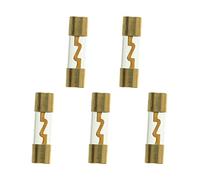 SIGANDG 100A Fusible AGU en verre plaqué or pour la protection de la puissance de l'amplificateur stéréo audio de la voiture, de l'automobile, de la marine et de la voiture (lot de 5).